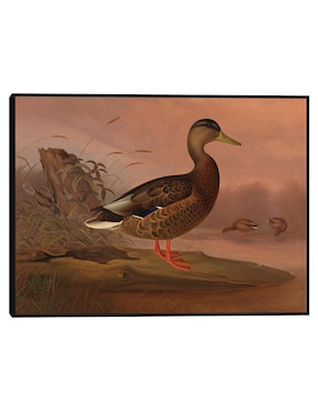 Cuadro decorativo Flamencos Rojos, Estudio Para El Libro Ocultar La Coloración En El Reino Animal (Ca. 1905-1909) técnica mixta Cuadros Jr Animales Domésticos