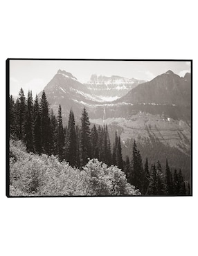 Cuadro decorativo En el Parque Nacional Glacier -Montana técnica mixta Cuadros Jr Montañas