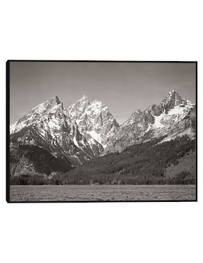 Cuadro decorativo Parque Nacional Teton, Wyoming técnica mixta Cuadros Jr Montañas