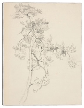 Cuadro decorativo Árbol Y Follaje técnica mixta Cuadros Jr Bocetos