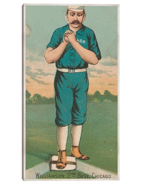 Cuadro decorativo Ned Williamson, Medias Blancas de Chicago, Retrato de Tarjeta de Béisbol técnica mixta Cuadros Jr Deportes