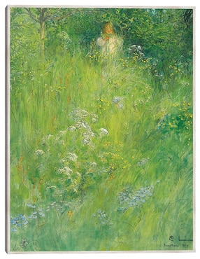 Cuadro decorativo Un Hada (Kersti En El Prado) (1899) técnica mixta Cuadros Jr Retratos