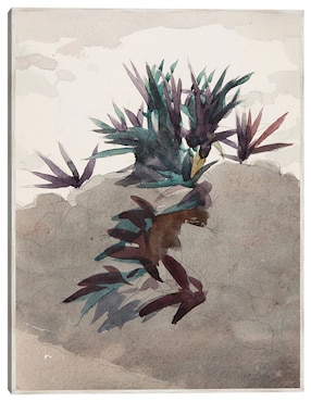 Cuadro decorativo Ladera Con Macizos de Maguey (1898-1899) técnica mixta Cuadros Jr Formas