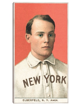 Cuadro decorativo Kid Elberfeld, New York Highlanders, Retrato de Tarjeta de Béisbol  técnica mixta Cuadros Jr Deportes