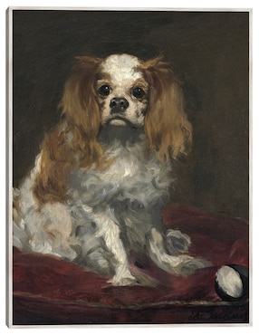 Cuadro decorativo Un Rey Charles Spaniel (C. 1866)  técnica mixta Cuadros Jr Animales Domésticos