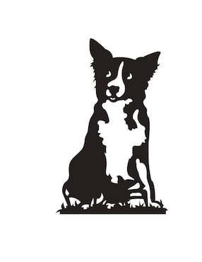 Cuadro decorativo Pigo border collie