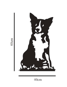 Cuadro decorativo Pigo border collie