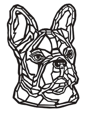 Cuadro decorativo Pigo bulldog francés