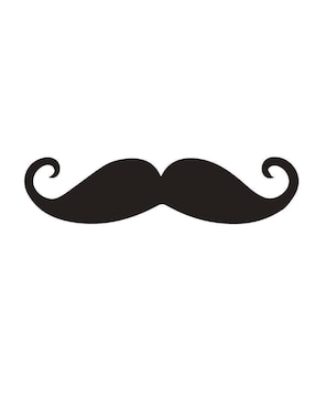 Cuadro decorativo Pigo bigote
