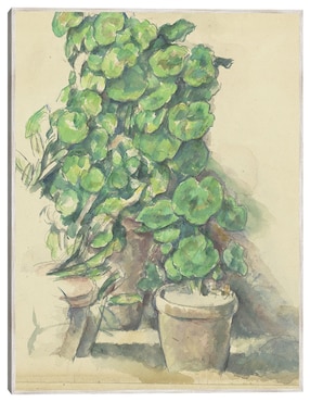 Cuadro decorativo Geranios (1888-1890) técnica mixta Cuadros Jr Macetas