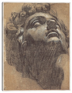 Cuadro decorativo Cabeza de Giuliano de Medici (Década de 1540) técnica mixta Cuadros Jr Arte