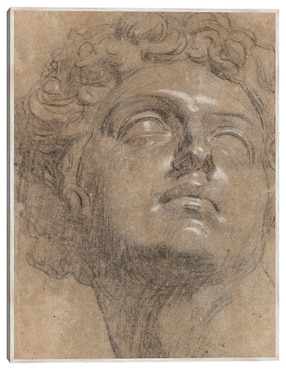 Cuadro decorativo Cabeza de Giuliano de Medici (Década de 1540) técnica mixta Cuadros Jr Arte