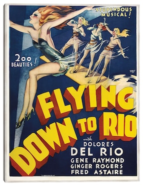 Cuadro decorativo Volando Hacia Río [Restaurado] técnica mixta Cuadros Jr Publicidad