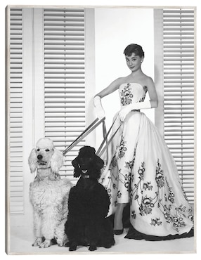 Cuadro decorativo Audrey Hepburn En Sabrina (1954) técnica mixta Cuadros Jr Retratos
