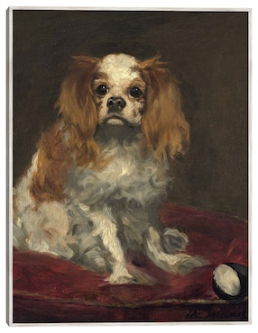 Cuadro decorativo Un Rey Charles Spaniel técnica mixta Cuadros Jr Animales Domésticos