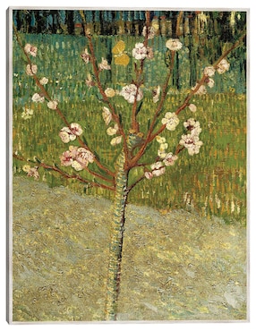 Cuadro decorativo Almendro En Flor técnica mixta Cuadros Jr Floración