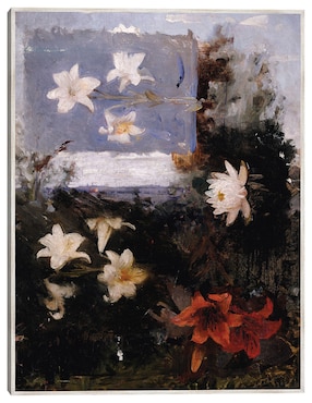 Cuadro decorativo Estudios Florales (Hacia 1886) técnica mixta Cuadros Jr Floración
