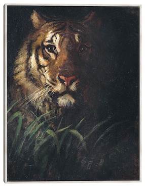 Cuadro decorativo Cabeza De Tigre (Hacia 1874) técnica mixta Cuadros Jr Vida Silvestre