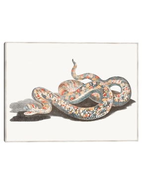 Cuadro decorativo Una Serpiente técnica mixta Cuadros Jr Reptiles
