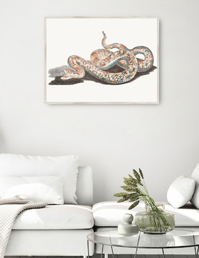 Cuadro decorativo Una Serpiente técnica mixta Cuadros Jr Reptiles