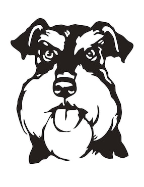 Figura decorativa asimétrico Pigo Schnauzer