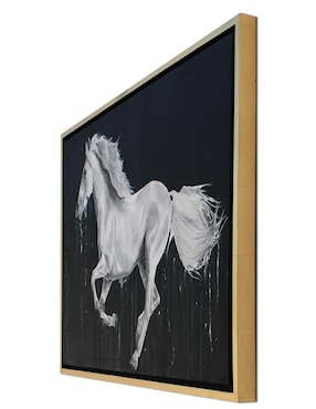 Cuadro decorativo Ecléctico White horse