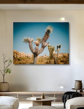 Cuadro decorativo Generica Planta Palma Desértica