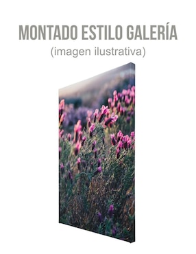 Cuadro decorativo Generica Planta Lavanda Velvet