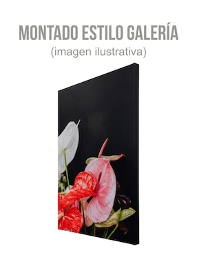 Cuadro decorativo Generica Planta Anturio