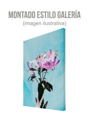 Cuadro decorativo Generica Planta Lirio Cósmico