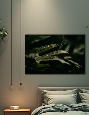 Cuadro decorativo Generica Planta Helecho