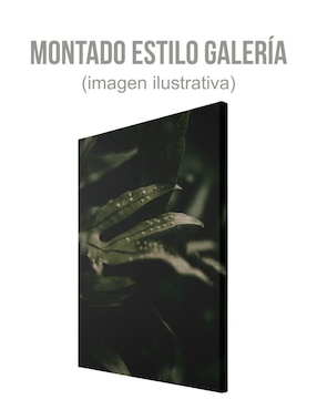 Cuadro decorativo Generica Planta Helecho