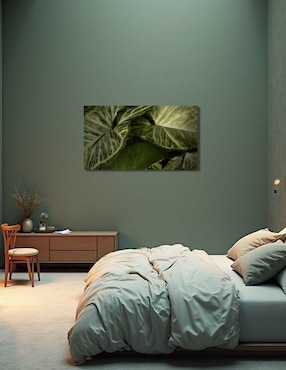 Cuadro decorativo Generica Planta Caña Muda
