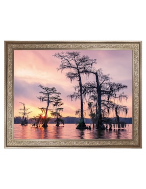 Cuadro decorativo Enmarcado- Amanecer sobre el lago Palourde de Andy Crawford mixta Cuadros Jr