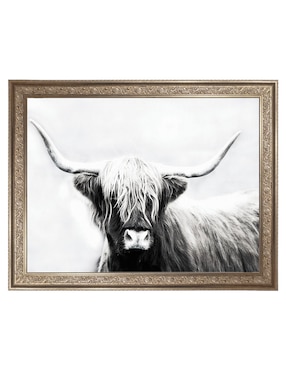 Cuadro decorativo Longhorn de las tierras altas de Danita Delimont técnica mixta Cuadros Jr