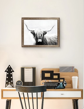 Cuadro decorativo Longhorn de las tierras altas de Danita Delimont técnica mixta Cuadros Jr