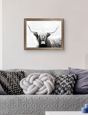 Cuadro decorativo Longhorn de las tierras altas de Danita Delimont técnica mixta Cuadros Jr