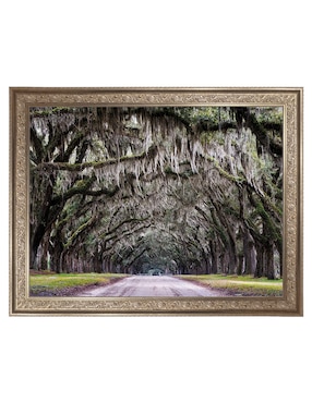 Cuadro decorativo Callejón Wormsloe de Andy Crawford técnica mixta Cuadros Jr