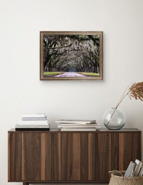 Cuadro decorativo Callejón Wormsloe de Andy Crawford técnica mixta Cuadros Jr