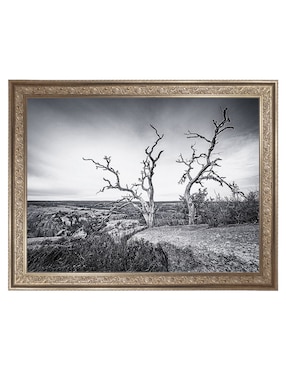 Cuadro decorativo Vista encantada de Andy Crawford técnica mixta Cuadros Jr