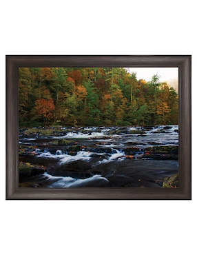 Cuadro decorativo Otoño en el río Tellico de Andy Crawford técnica mixta Cuadros Jr