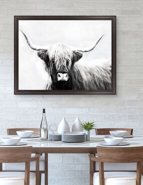 Cuadro decorativo Longhorn de las tierras altas de Danita Delimont técnica mixta Cuadros Jr