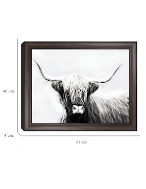Cuadro decorativo Longhorn de las tierras altas de Danita Delimont técnica mixta Cuadros Jr