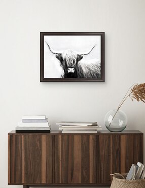 Cuadro decorativo Longhorn de las tierras altas de Danita Delimont técnica mixta Cuadros Jr