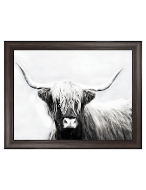 Cuadro decorativo Longhorn de las tierras altas de Danita Delimont técnica mixta Cuadros Jr