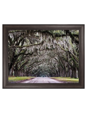 Cuadro decorativo Callejón Wormsloe de Andy Crawford técnica mixta Cuadros Jr