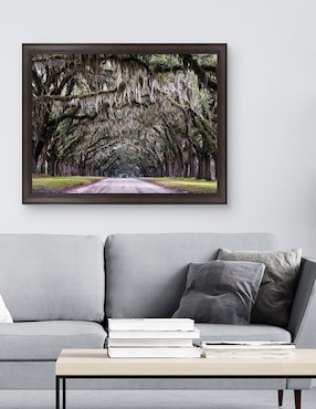 Cuadro decorativo Callejón Wormsloe de Andy Crawford técnica mixta Cuadros Jr
