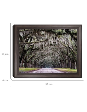 Cuadro decorativo Callejón Wormsloe de Andy Crawford técnica mixta Cuadros Jr