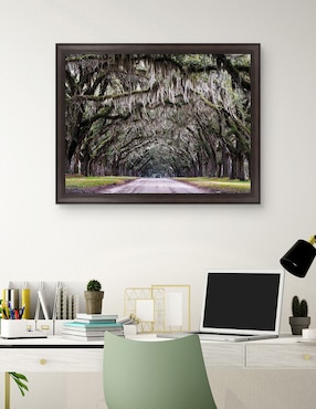 Cuadro decorativo Callejón Wormsloe de Andy Crawford técnica mixta Cuadros Jr