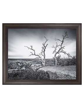 Cuadro decorativo Vista encantada de Andy Crawford técnica mixta Cuadros Jr